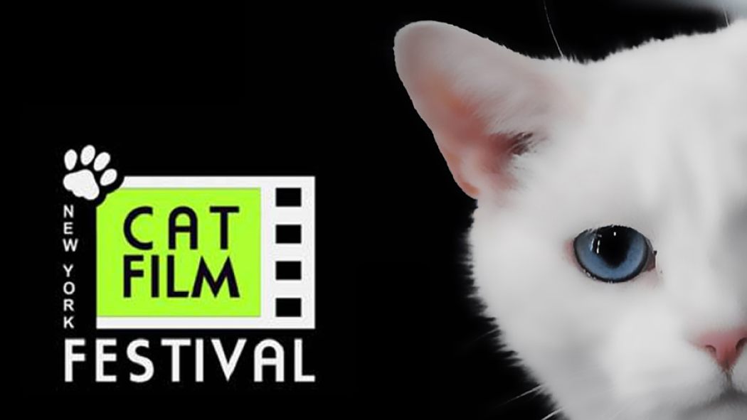 NEW YORK CAT FILM FESTIVAL | Alamo Drafthouse Cinema